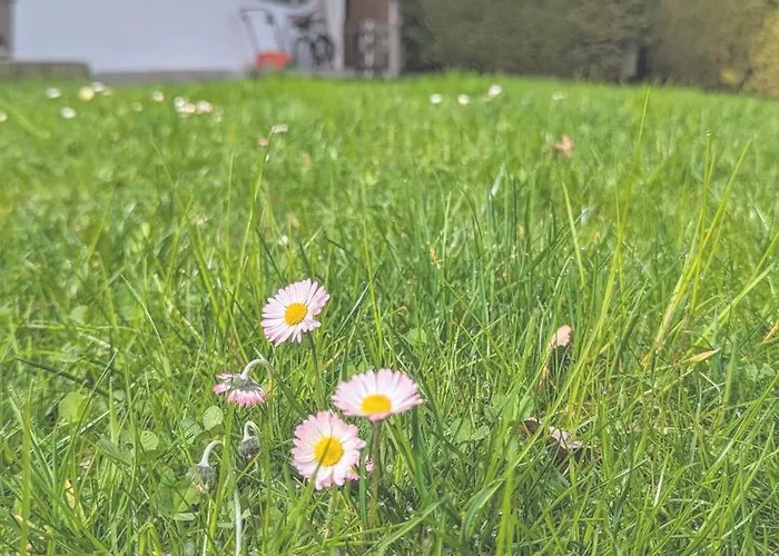 Апартаменты Calm Gap